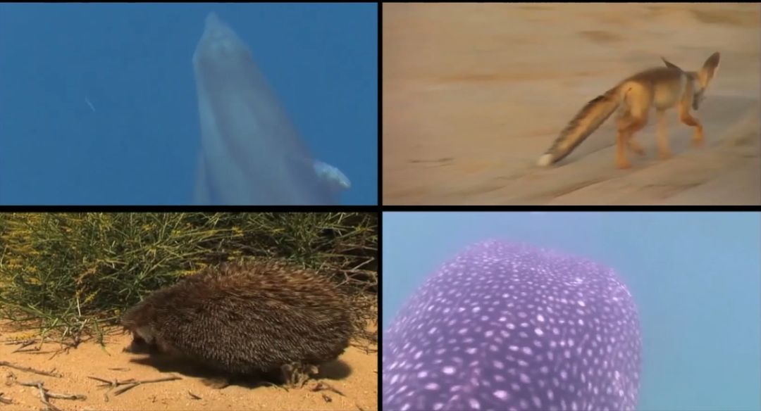 首页-人生就是博(中国区)官方网站