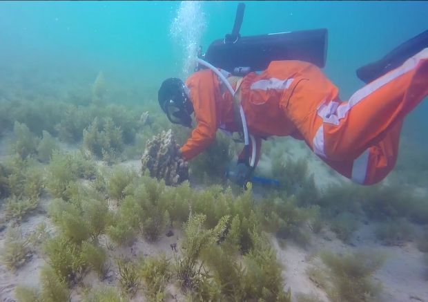 首页-人生就是博(中国区)官方网站