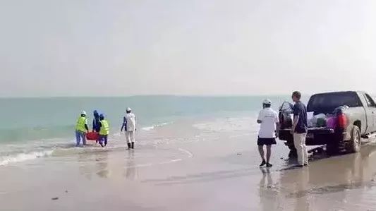 首页-人生就是博(中国区)官方网站