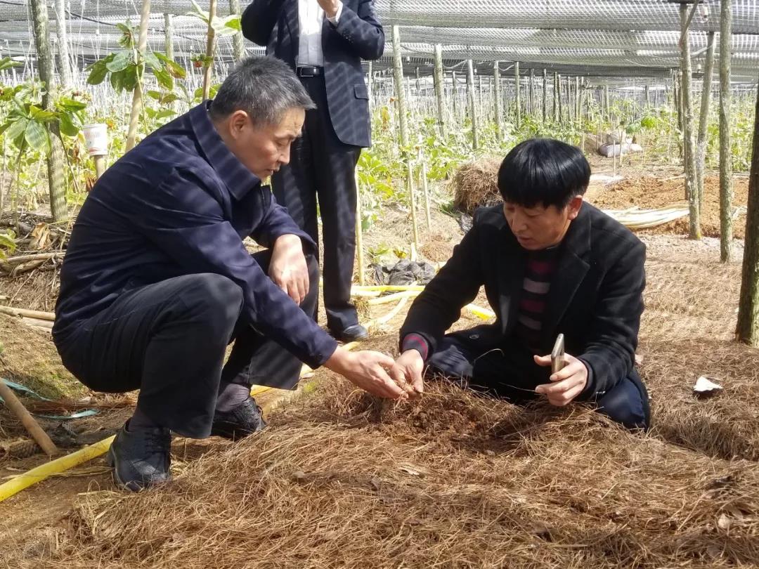 首页-人生就是博(中国区)官方网站