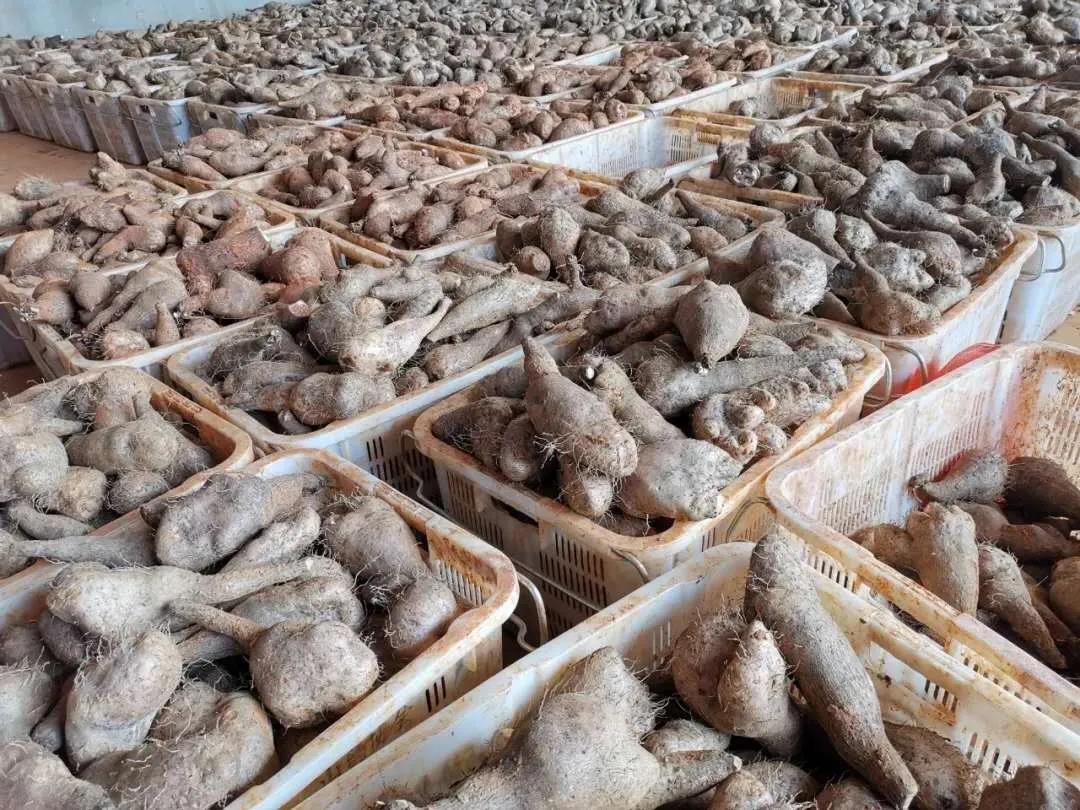 首页-人生就是博(中国区)官方网站