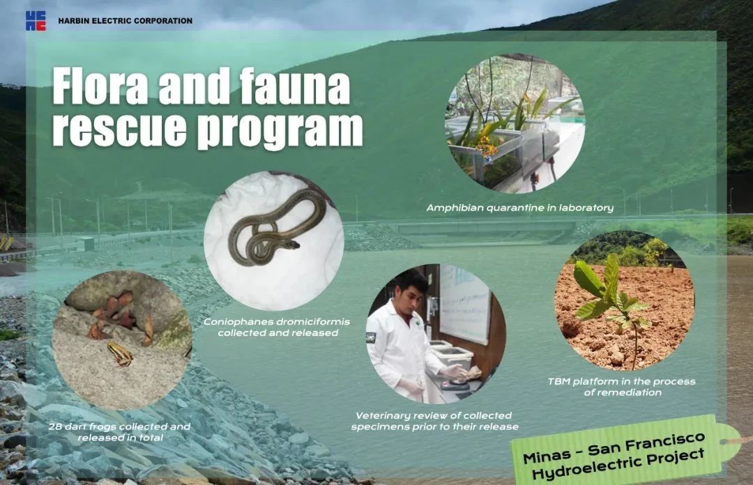 首页-人生就是博(中国区)官方网站