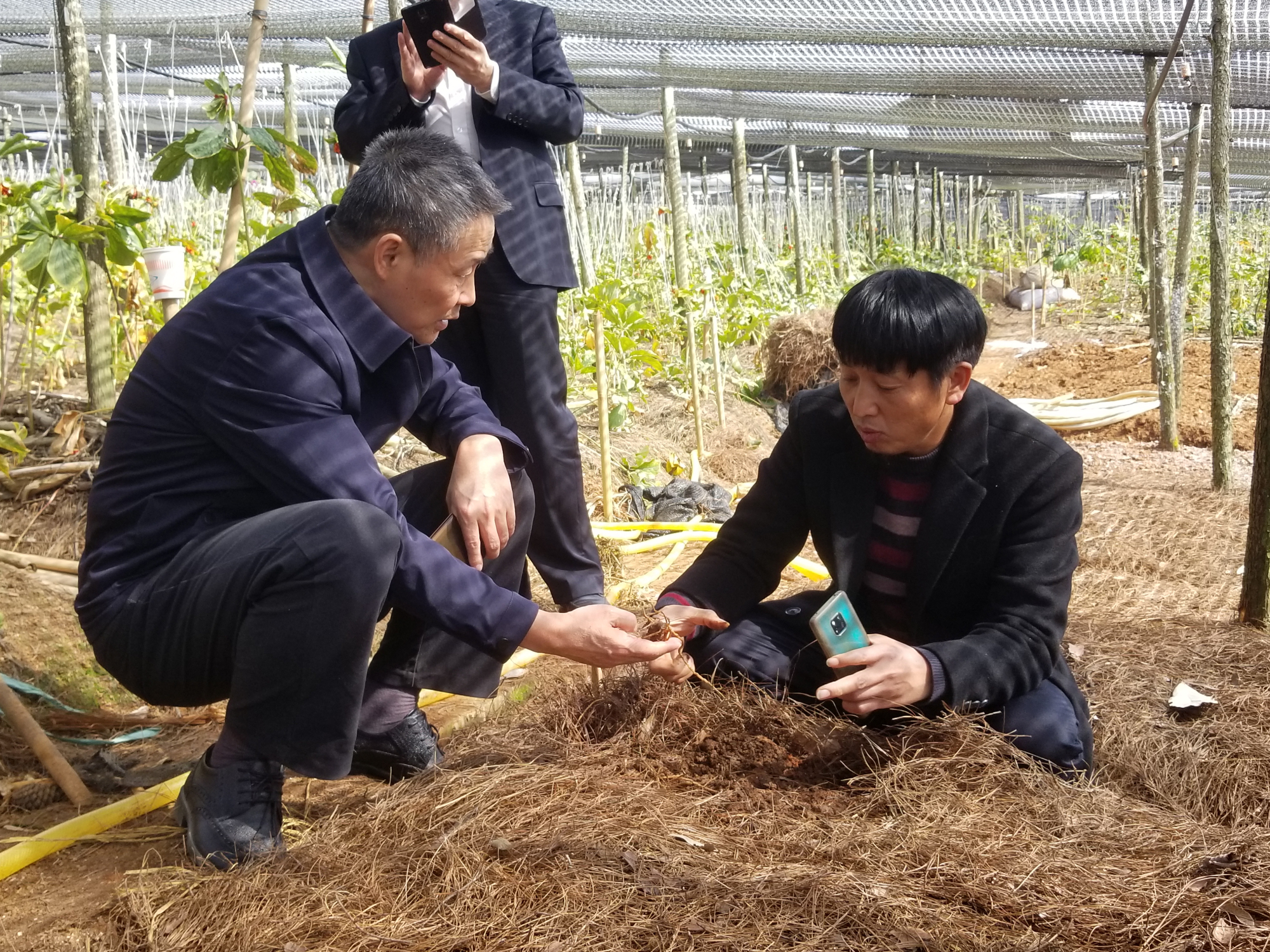 首页-人生就是博(中国区)官方网站