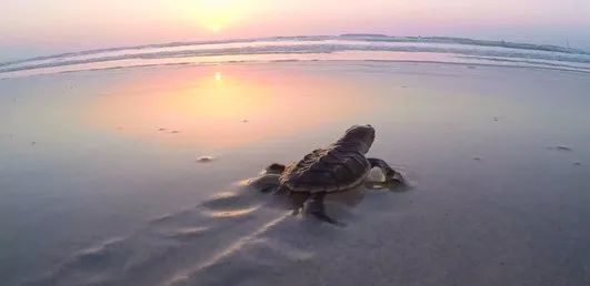 首页-人生就是博(中国区)官方网站